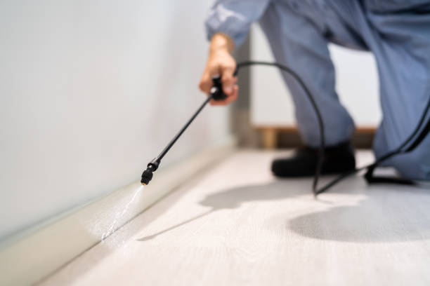 Rodent Entry Point Assessment in Hurstbourne