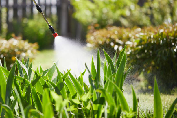 Tamper-Resistant Bait Stations for Rodents in Hurstbourne