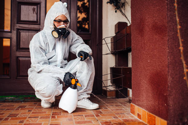 Attic and Crawl Space Rodent Treatment in Hurstbourne
