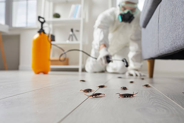 Commercial Rodent Management in Hurstbourne